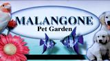 Malangone Hobby Pet Garden