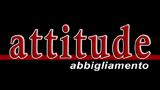 Attitude