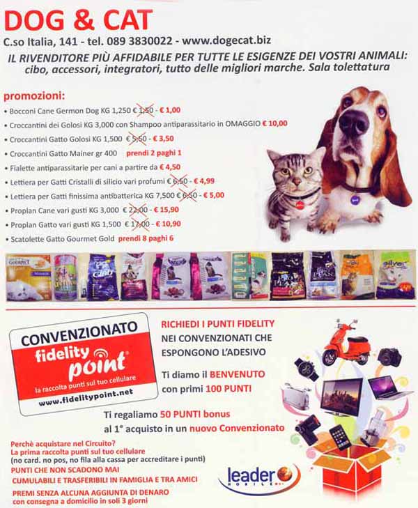 dog_cat_promo