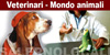 Veterinari, Animali, mangimi, allevamento cani