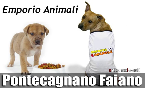 Emporio Animali negozio specializzato propone grandi offerte alimenti per Cani, marca Bayer e altri prodotti per cani e gatti, esclusivisti Orijen a Pontecagnano Faiano Salerno